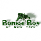 Bonsai Boy of New York Coupon Codes